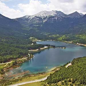 feneos-(3) feneos-(3)