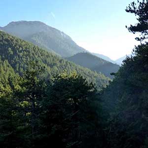 flabouritsa-(1) flabouritsa-(1)