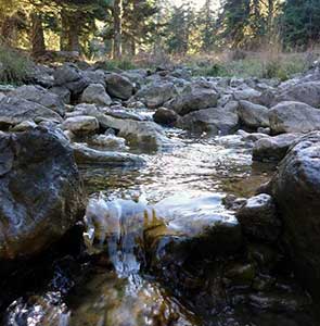 flabouritsa-(2) flabouritsa-(2)