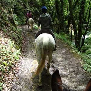 horseriding-(2)