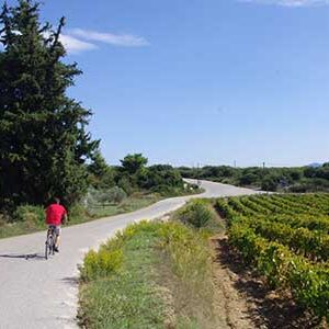 cycling5-5 cycling5-5